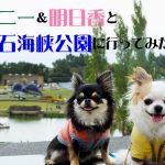 トニー＆明日香と、明石海峡公園に行ってみた。